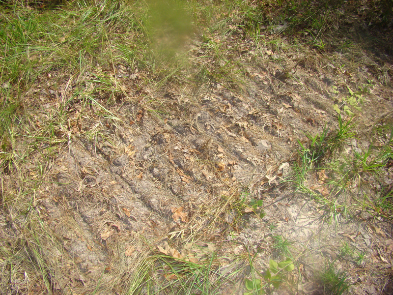 DSC06043