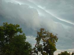 DSC04639
