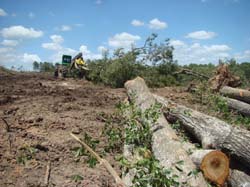 DSC04743