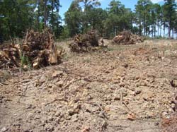 DSC04760