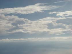 DSC05006