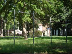 DSC05458