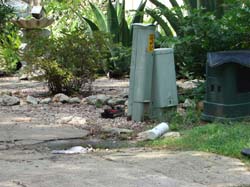 DSC05602
