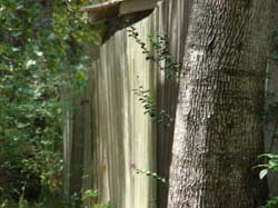 DSC05700