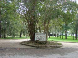 DSC05901