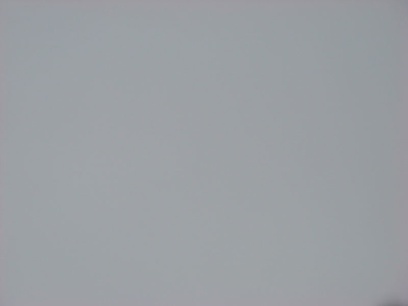 DSC07337
