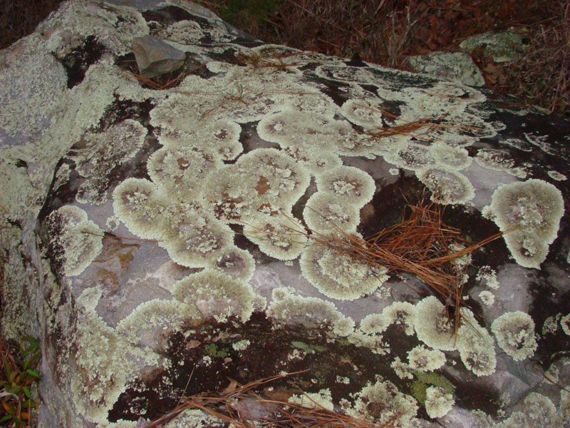 DSC07375
