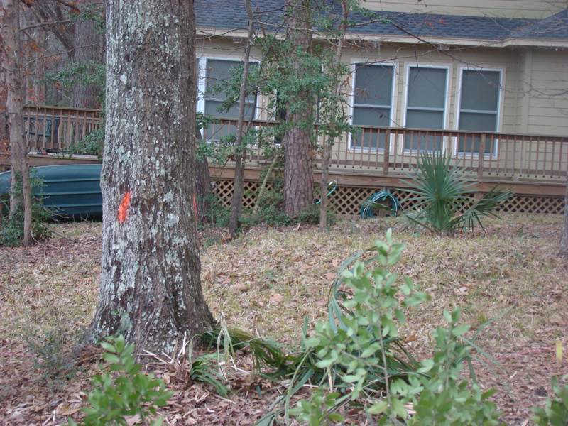 DSC02039