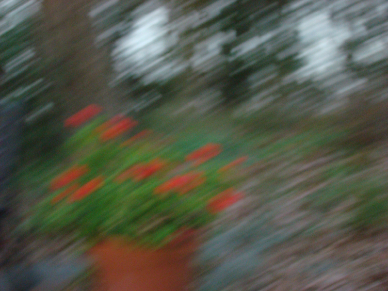 DSC02279