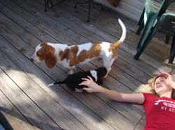 DSC02228
