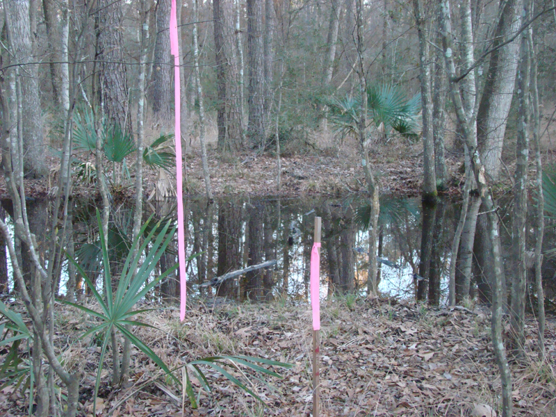 DSC01951