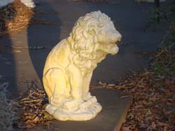 DSC01940