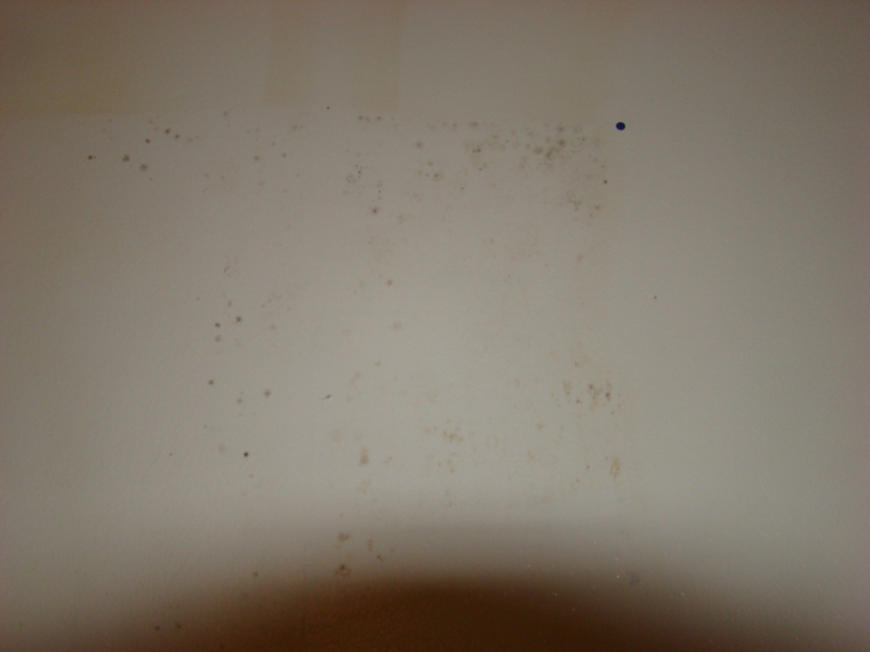 DSC04065