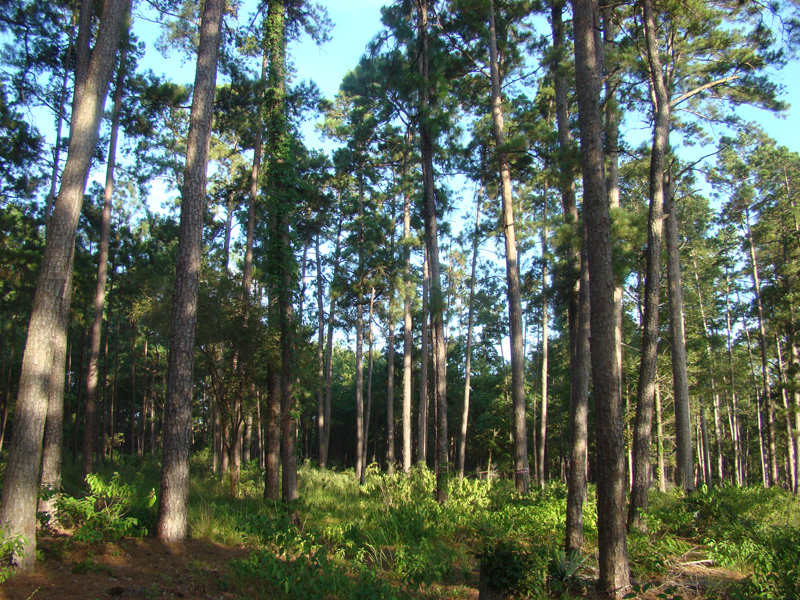 DSC04108