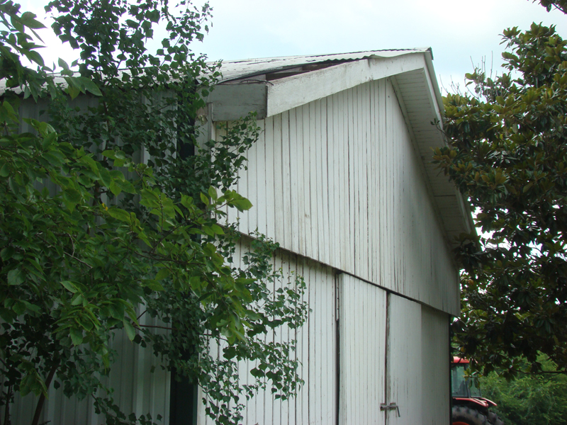 DSC04131