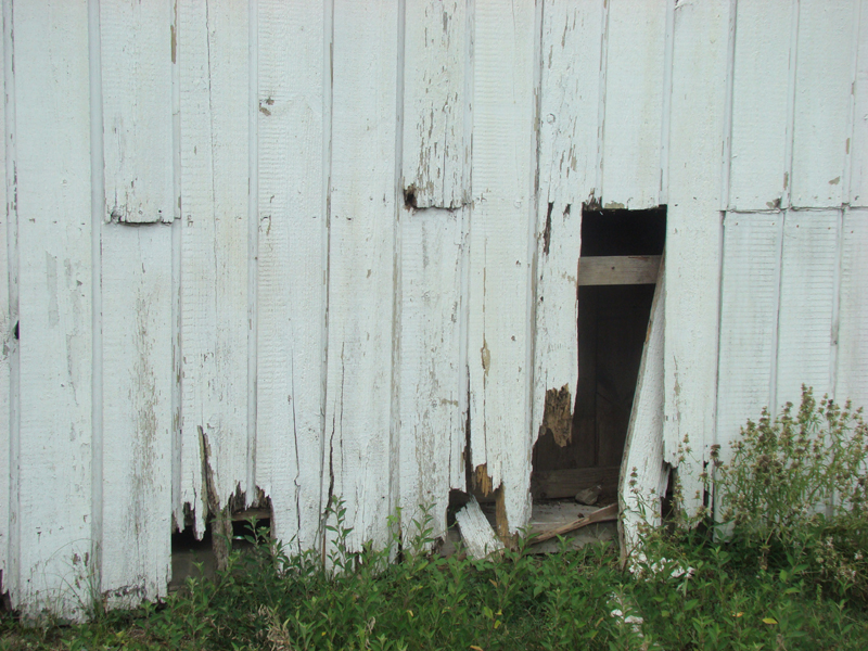 DSC04135