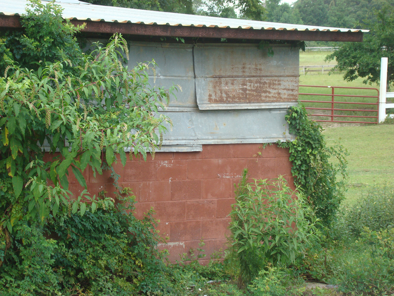 DSC04142
