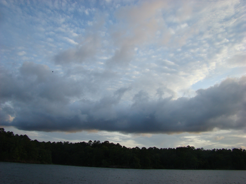DSC04316