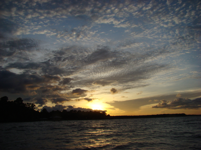 DSC04328