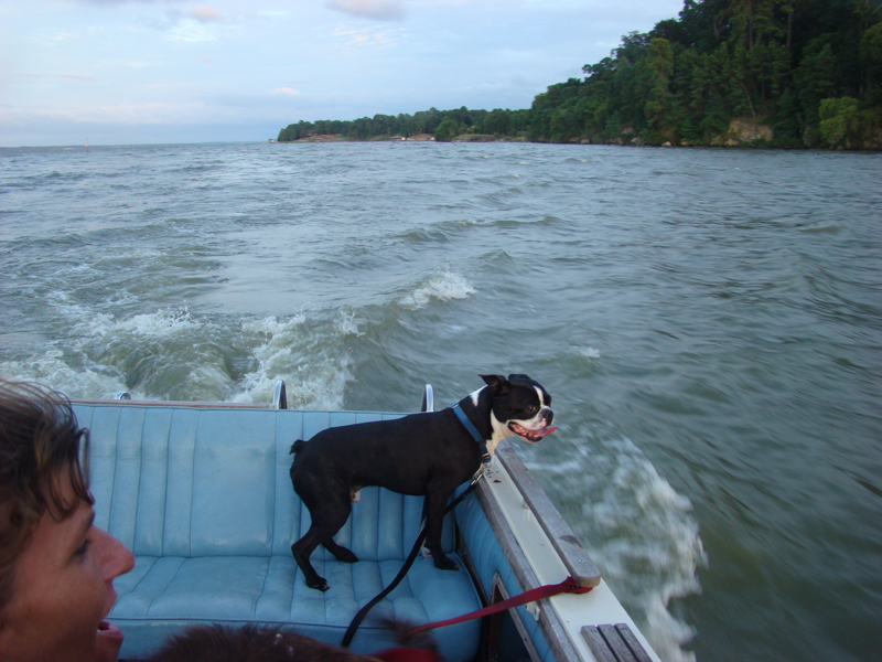 DSC04332