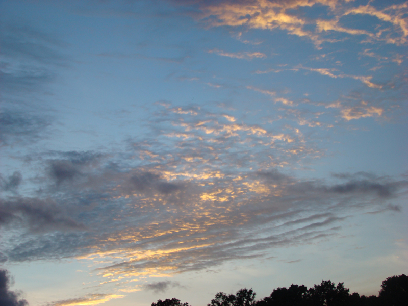 DSC04380