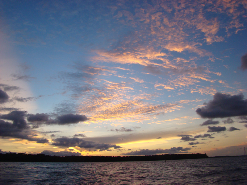 DSC04392