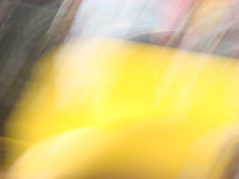 DSC03667