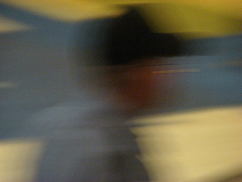 DSC03695