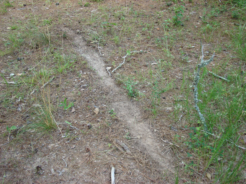 DSC03812