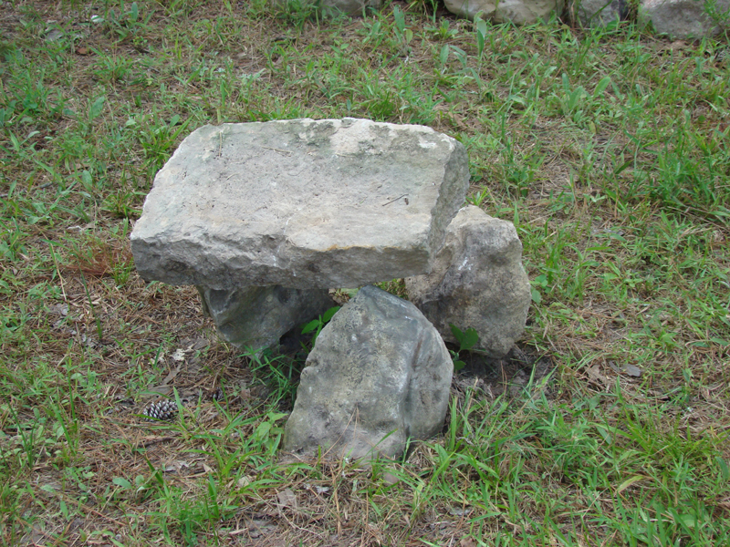DSC03815