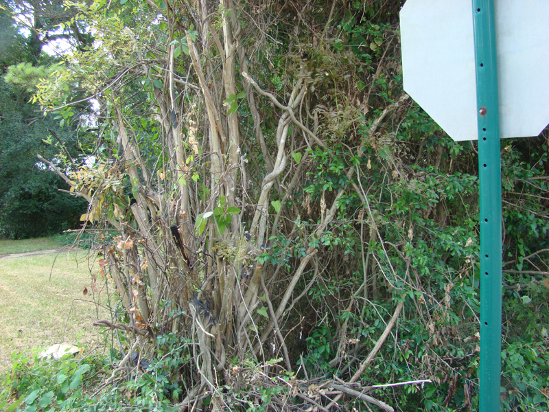 DSC03840
