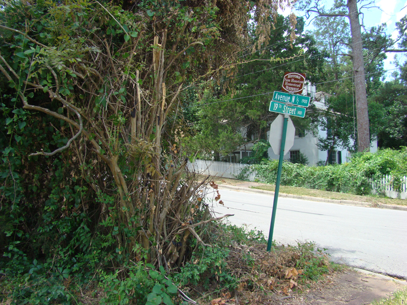 DSC03841