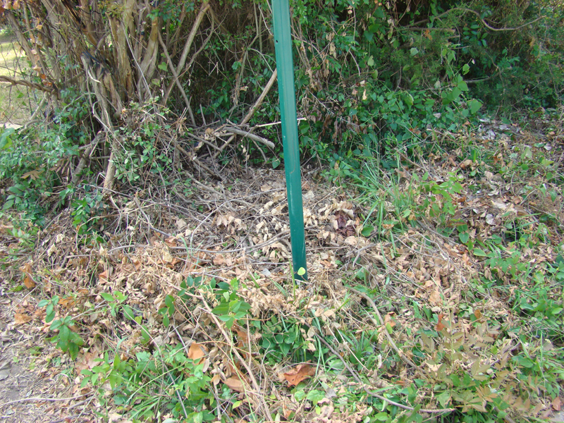 DSC03844