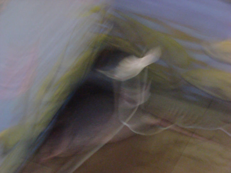 DSC03850