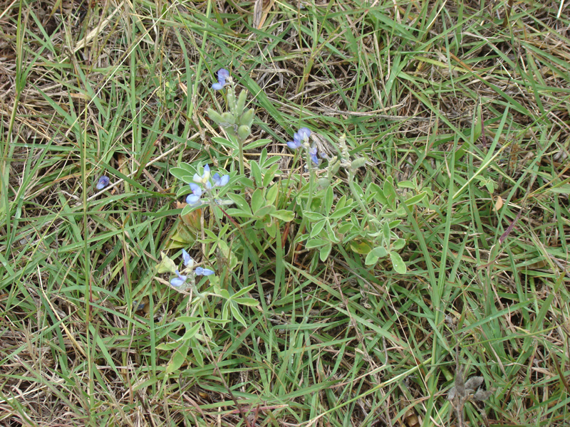 DSC03862