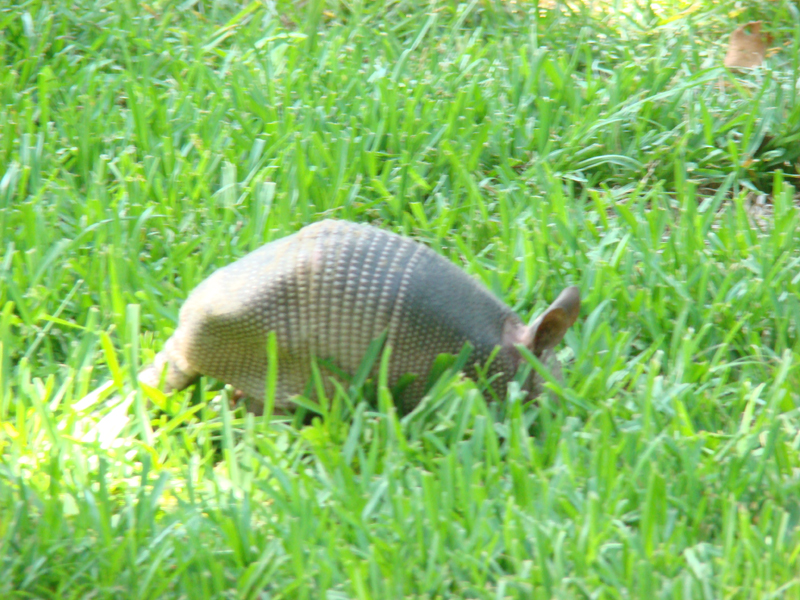 DSC03901