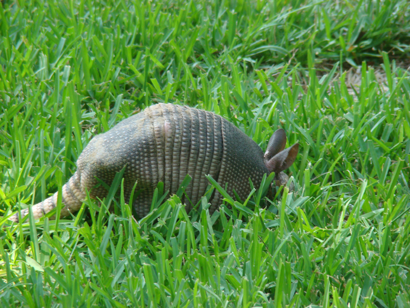 DSC03902