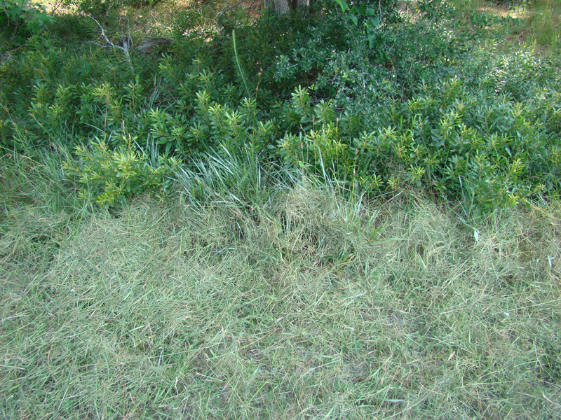DSC03912