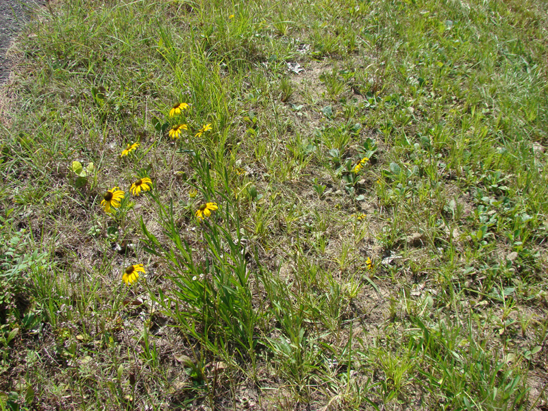 DSC03922