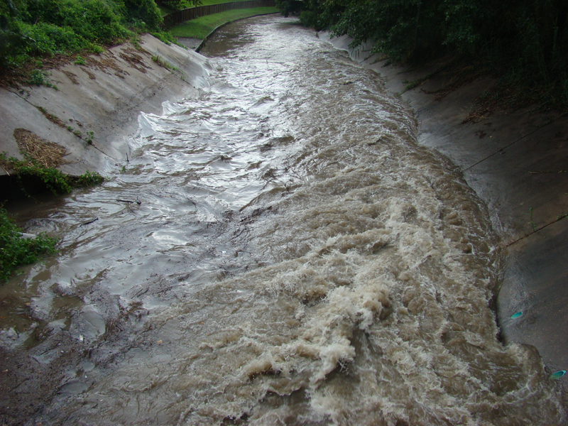 DSC03930