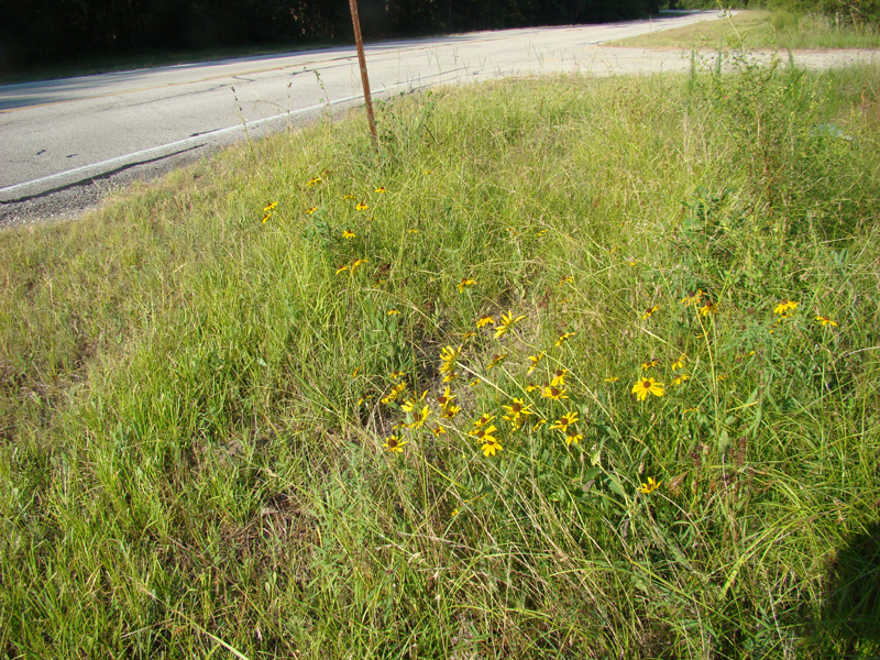 DSC03939