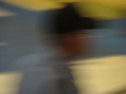 DSC03695