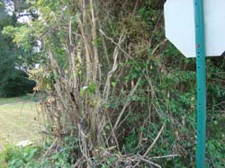 DSC03840