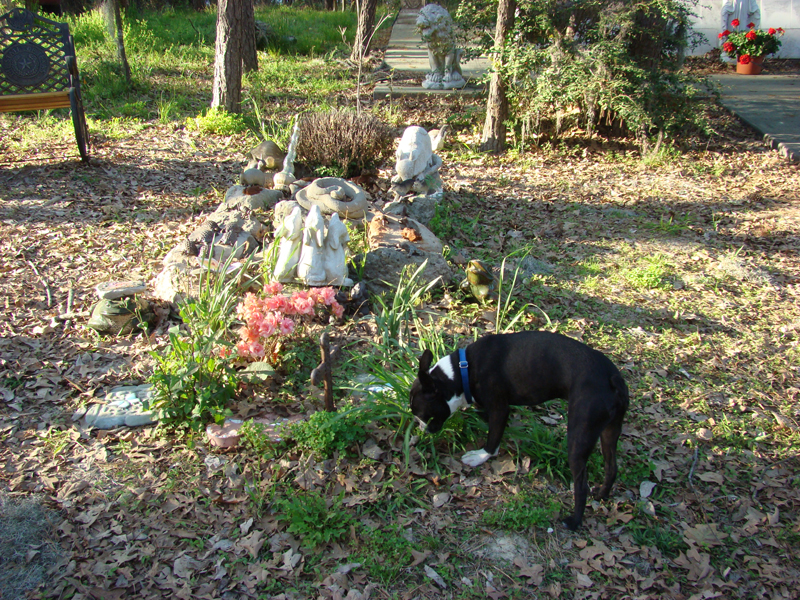 DSC02700