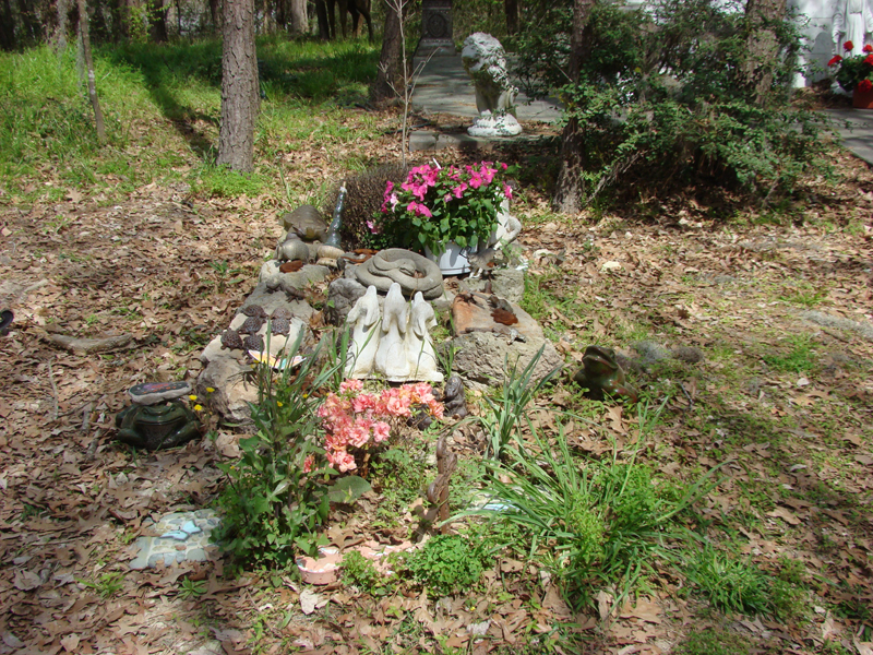 DSC02885