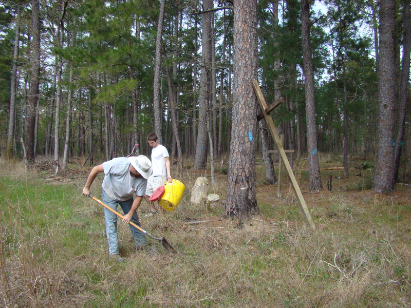 DSC03026