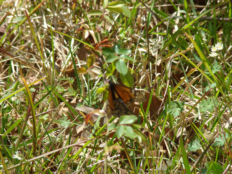 DSC03064