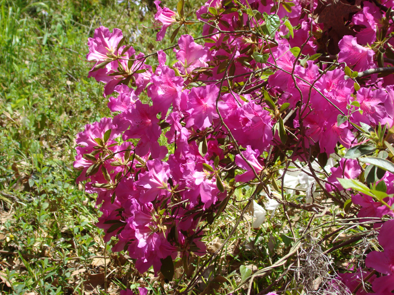 DSC03069