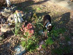 DSC02701