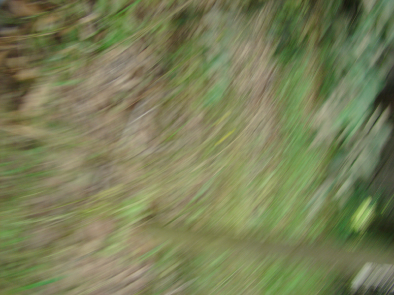 DSC03336